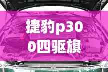 捷豹p300四驱旗舰内饰, 捷豹p300四驱旗舰内饰图
