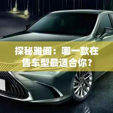 踊贵屦贱 第7页