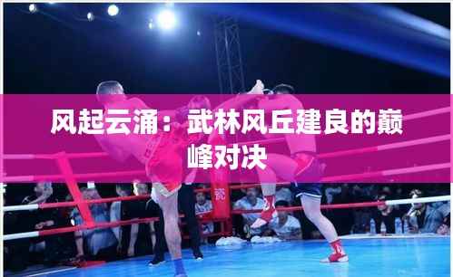 风起云涌:武林风丘建良的巅峰对决