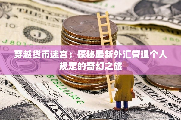 穿越货币迷宫：探秘最新外汇管理个人规定的奇幻之旅