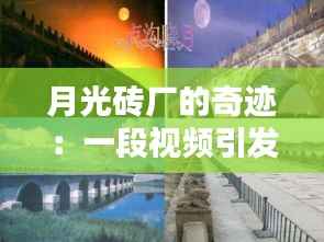 月光砖厂的奇迹：一段视频引发的全民热潮