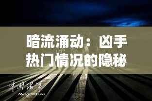 暗流涌动：凶手热门情况的隐秘解码