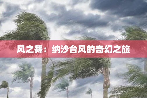 风之舞:纳沙台风的奇幻之旅