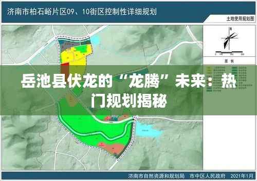 岳池县伏龙的“龙腾”未来:热门规划揭秘