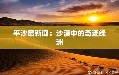 平沙最新闻：沙漠中的奇迹绿洲
