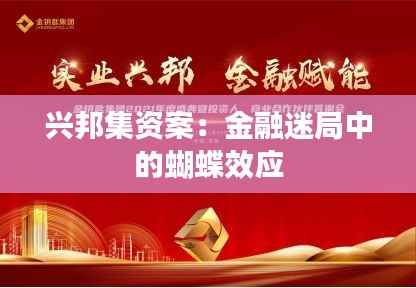 兴邦集资案：金融迷局中的蝴蝶效应