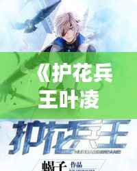 《护花兵王叶凌风：都市风云再起》