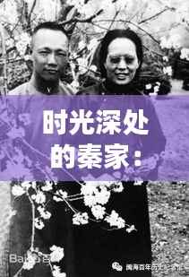 时光深处的秦家：古老家族的现代复兴