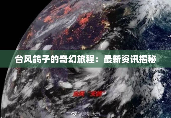 台风鸽子的奇幻旅程：最新资讯揭秘