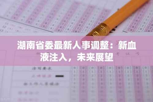 湖南省委最新人事调整：新血液注入，未来展望
