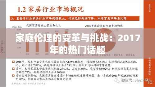 家庭伦理的变革与挑战:2017年的热门话题