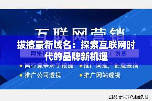 拔擦最新域名：探索互联网时代的品牌新机遇