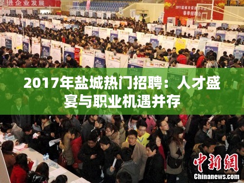 2017年盐城热门招聘：人才盛宴与职业机遇并存