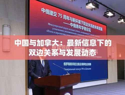 大雪纷飞 第6页