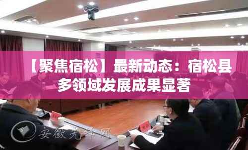 【聚焦宿松】最新动态：宿松县多领域发展成果显著
