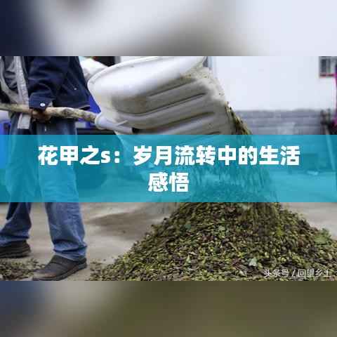 花甲之s:岁月流转中的生活感悟