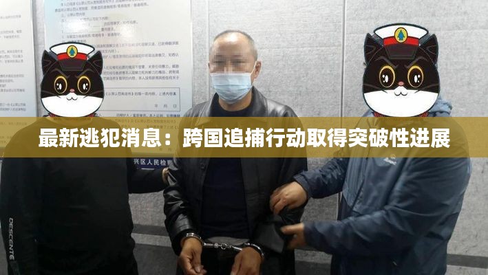 最新逃犯消息:跨国追捕行动取得突破性进展