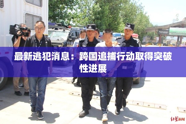 最新逃犯消息:跨国追捕行动取得突破性进展