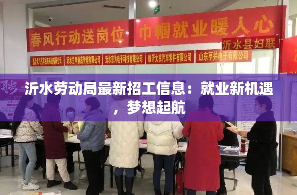 沂水劳动局最新招工信息：就业新机遇，梦想起航