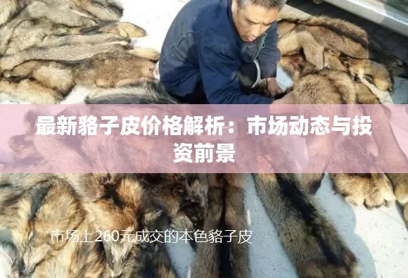 最新貉子皮价格解析：市场动态与投资前景