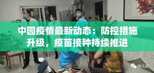 中园疫情最新动态：防控措施升级，疫苗接种持续推进