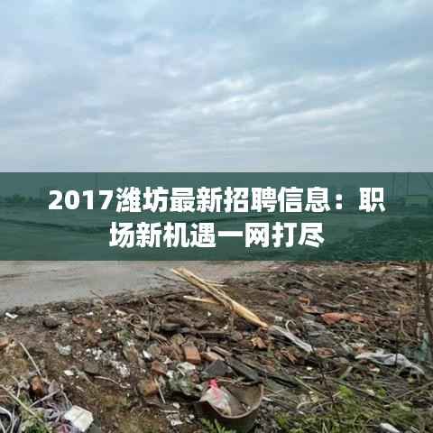2017潍坊最新招聘信息：职场新机遇一网打尽