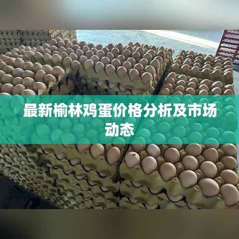 最新榆林鸡蛋价格分析及市场动态
