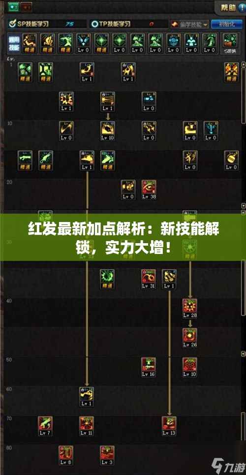 红发最新加点解析：新技能解锁，实力大增！