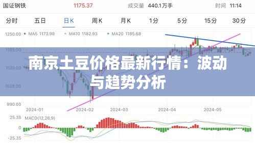南京土豆价格最新行情:波动与趋势分析