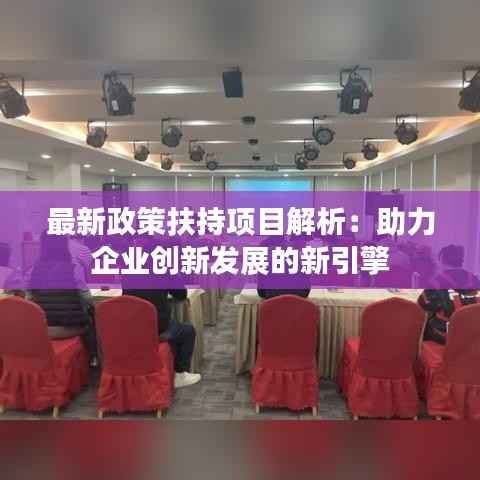 最新政策扶持项目解析：助力企业创新发展的新引擎