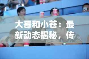 大哥和小苍:最新动态揭秘,传奇组合再起波澜