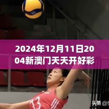2024年12月11日2004新澳门天天开好彩,数据导向实施步骤_Z9.409