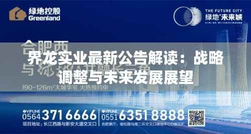 界龙实业最新公告解读:战略调整与未来发展展望