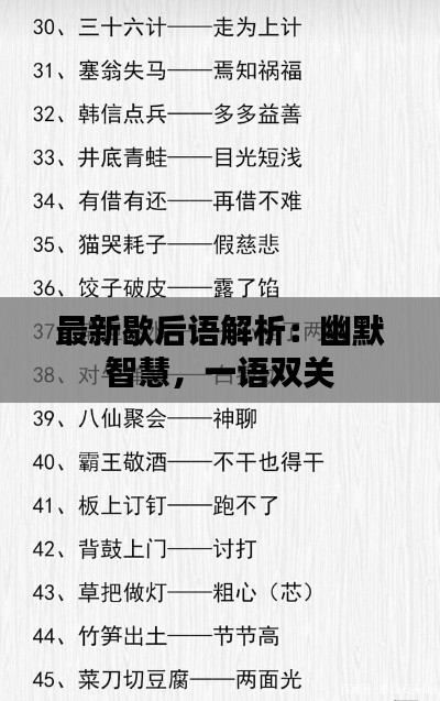 最新歇后语解析：幽默智慧，一语双关