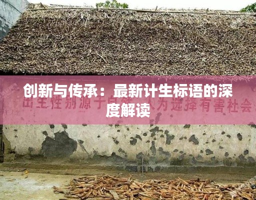 创新与传承:最新计生标语的深度解读