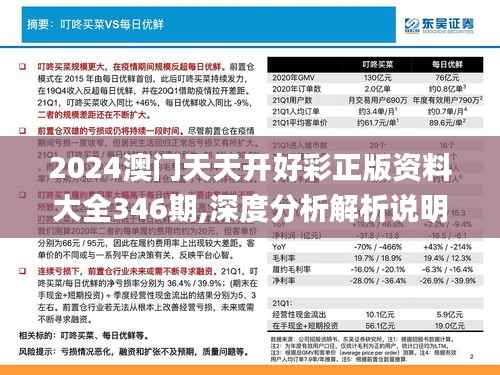 2024澳门天天开好彩正版资料大全346期,深度分析解析说明_RemixOS9.848