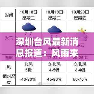 深圳台风最新消息报道:风雨来袭,全力应对