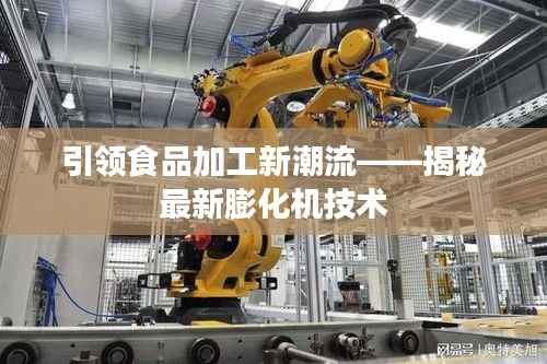 引领食品加工新潮流——揭秘最新膨化机技术