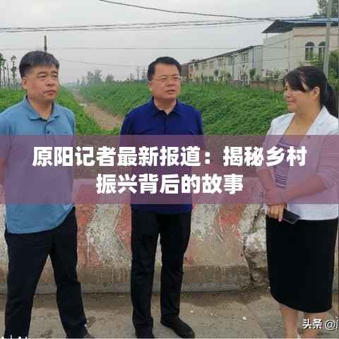 原阳记者最新报道：揭秘乡村振兴背后的故事