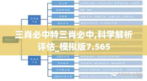 三肖必中特三肖必中,科学解析评估_模拟版7.565