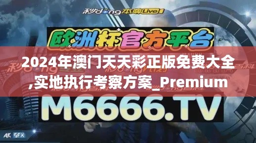 2024年澳门天天彩正版免费大全,实地执行考察方案_Premium4.139