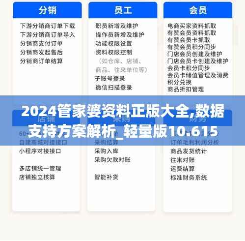 2024管家婆资料正版大全,数据支持方案解析_轻量版10.615
