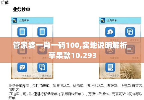 管家婆一肖一码100,实地说明解析_苹果款10.293