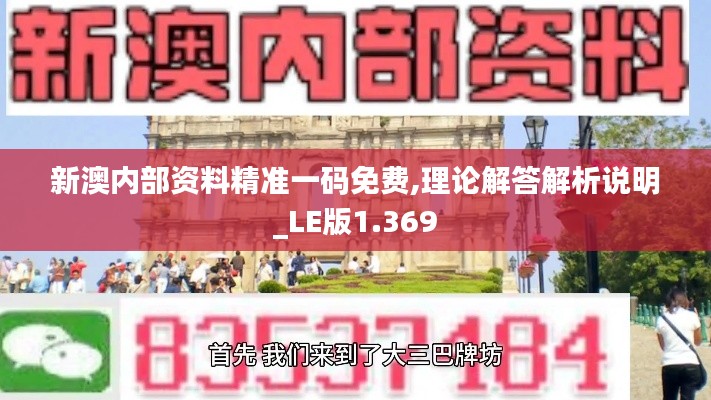 新澳内部资料精准一码免费,理论解答解析说明_LE版1.369