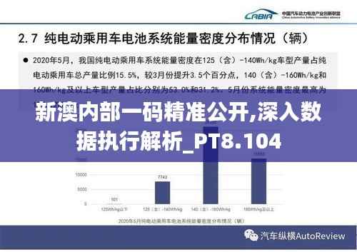 新澳内部一码精准公开,深入数据执行解析_PT8.104
