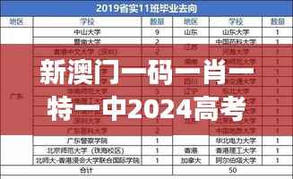 新澳门一码一肖一特一中2024高考,可靠性计划解析_Windows10.769