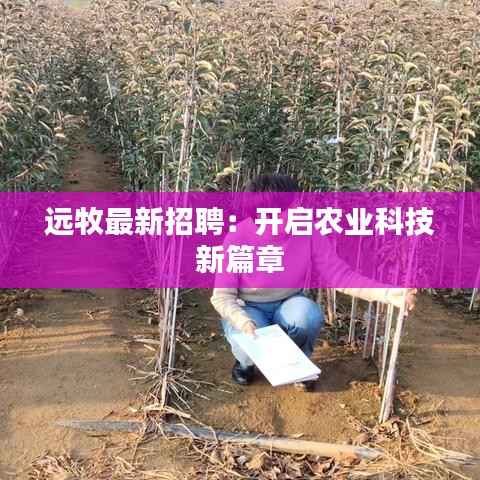 远牧最新招聘：开启农业科技新篇章
