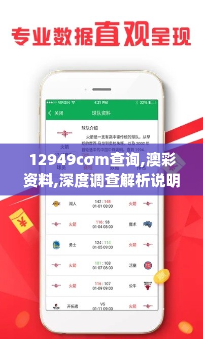 12949cσm查询,澳彩资料,深度调查解析说明_HD1.113