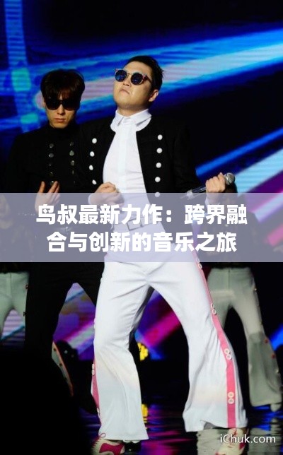 鸟叔最新力作：跨界融合与创新的音乐之旅