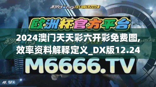 2024澳门天天彩六开彩免费图,效率资料解释定义_DX版12.240